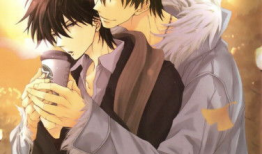 耽美纯肉动漫,耽美纯肉动漫的感官盛宴